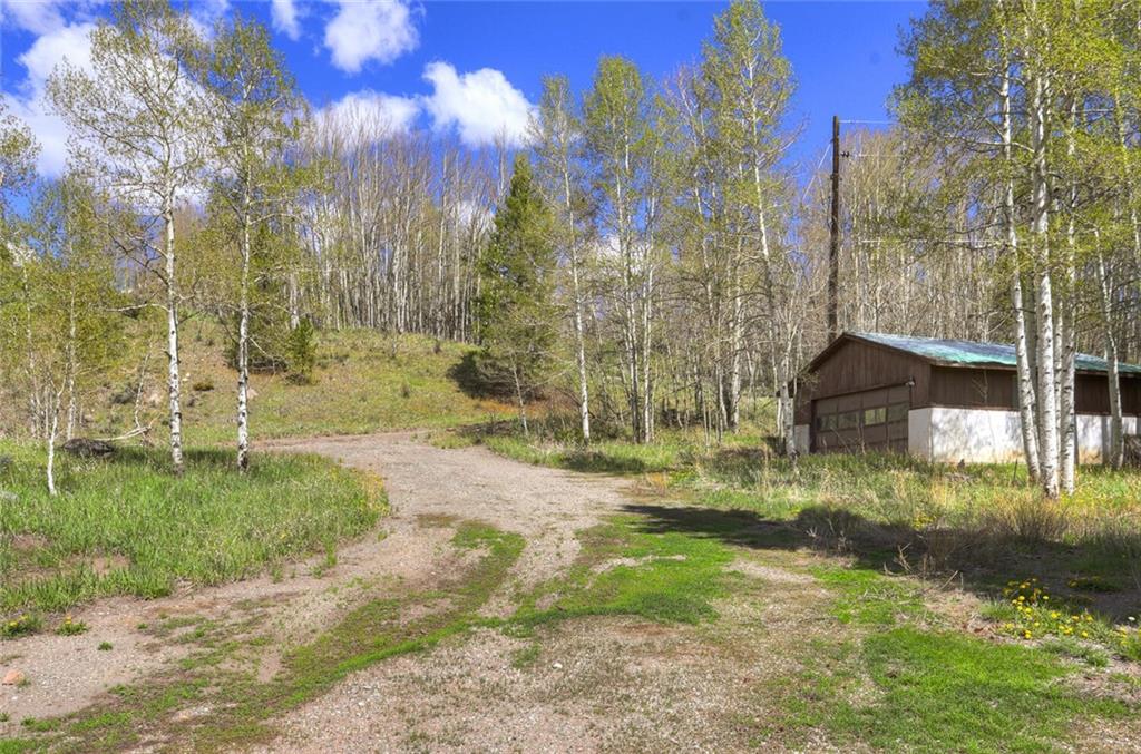 33 Giberson Road Frisco, CO 80443 - Photo 5 of 9 a backyard of a house with lots of green space