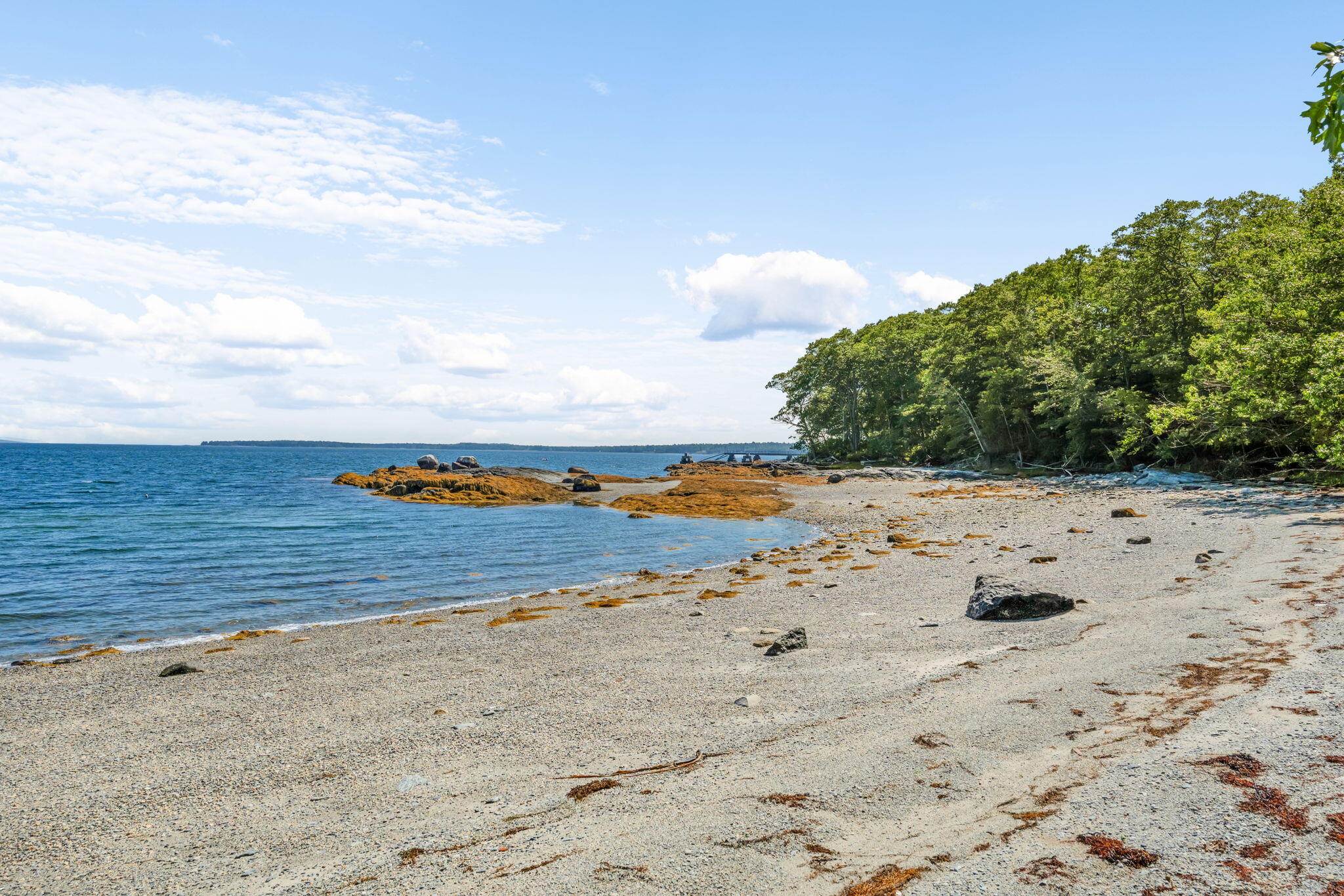 1197 Bay Road Brooklin, ME 04616 - Photo 3 of 143 91-web-or-mls-1197-bay-rd