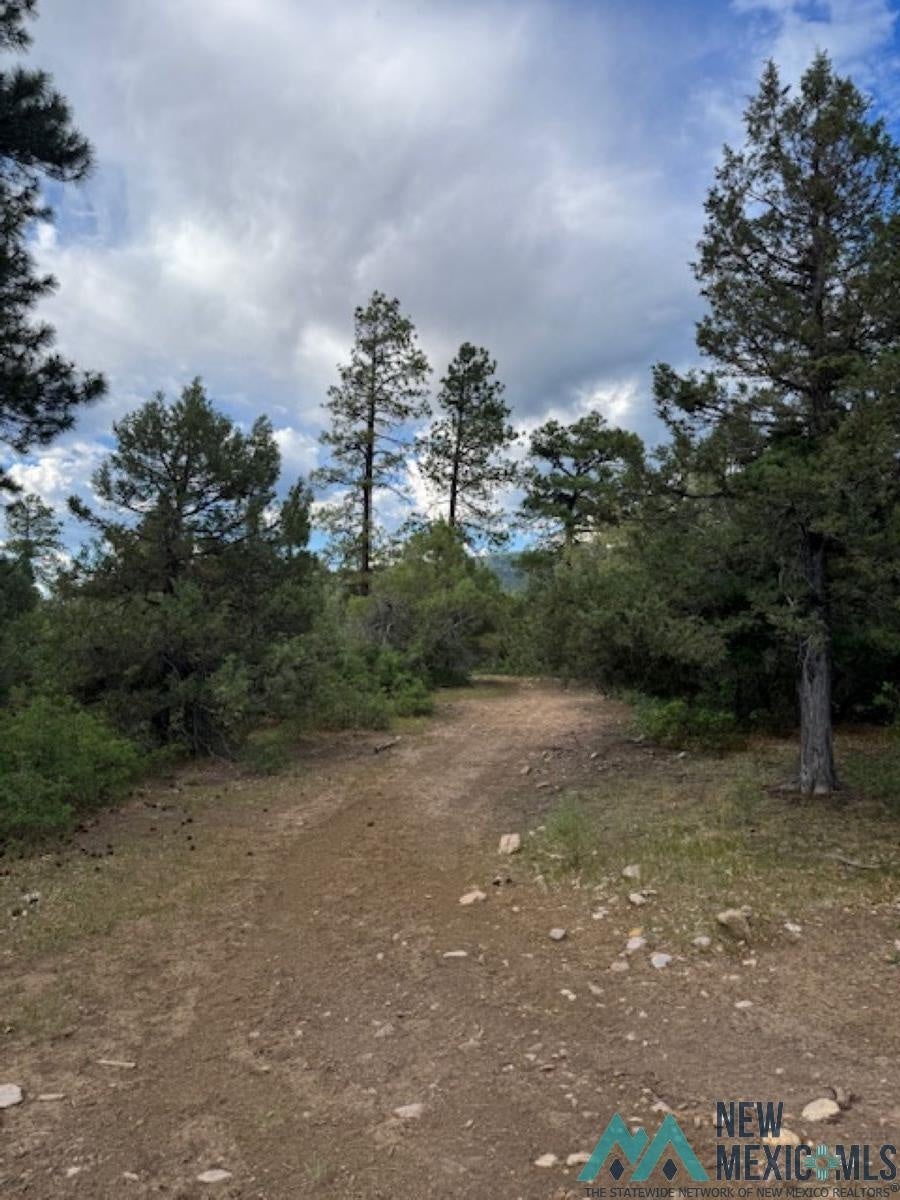 Log Ridge Trail Chama, NM 87520 - Photo 3 of 6 Gallery Image 3