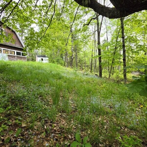 515 Dodlin Road Enfield, ME 04493 - Photo 12 of 74 515 Dodlin Road