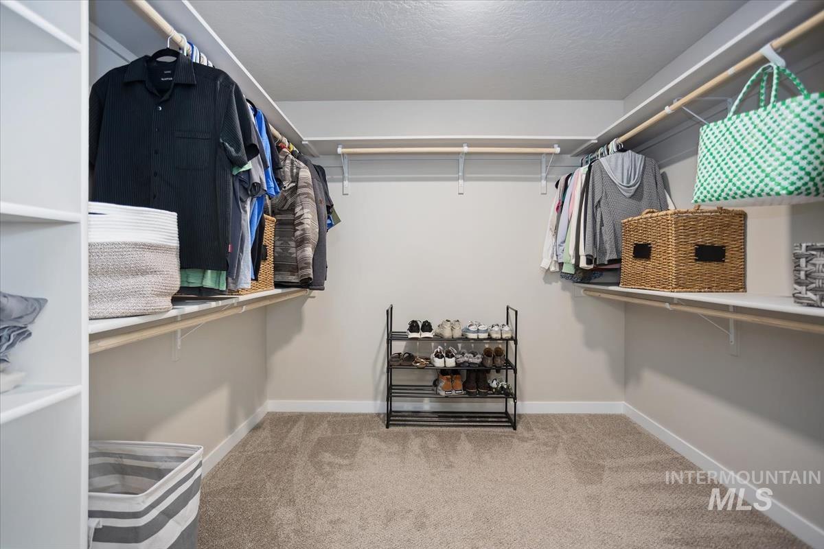3729 South Maple Ridge Avenue Nampa, ID 83686 - Photo 29 of 46 Walk in closet featuring light carpet