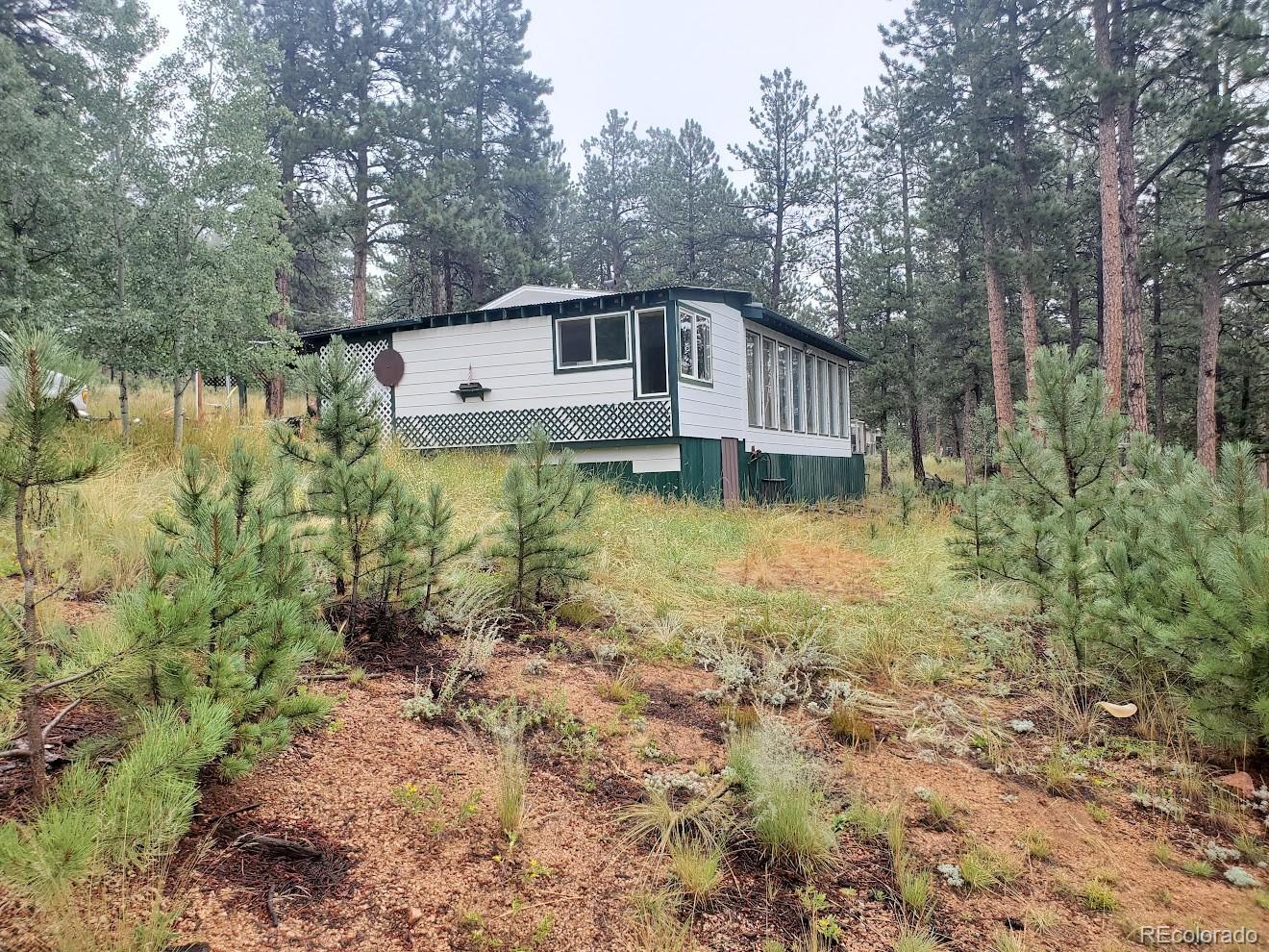 162 Green Street Bailey, CO 80421 - Photo 3 of 9 a backyard of a house with lots of green space