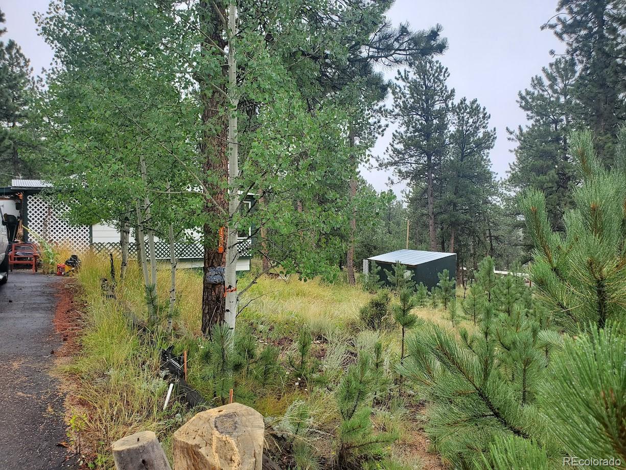 162 Green Street Bailey, CO 80421 - Photo 4 of 9 a view of a lake view