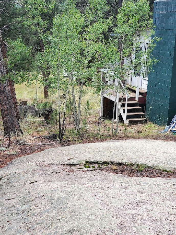 162 Green Street Bailey, CO 80421 - Photo 8 of 9 a front view of a house with a yard