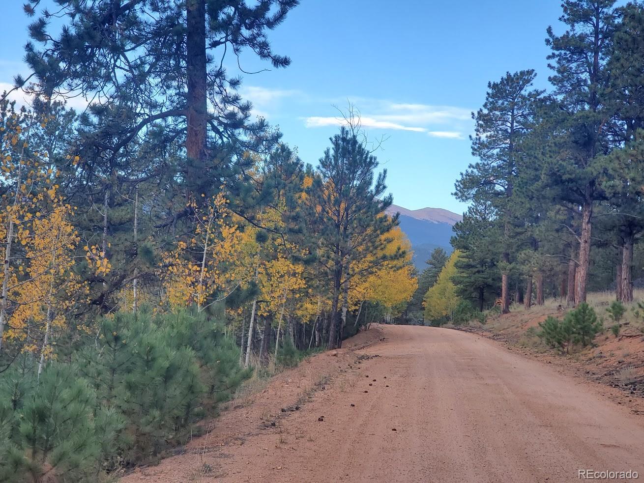 162 Green Street Bailey, CO 80421 - Photo 9 of 9 a view of a road with a trees