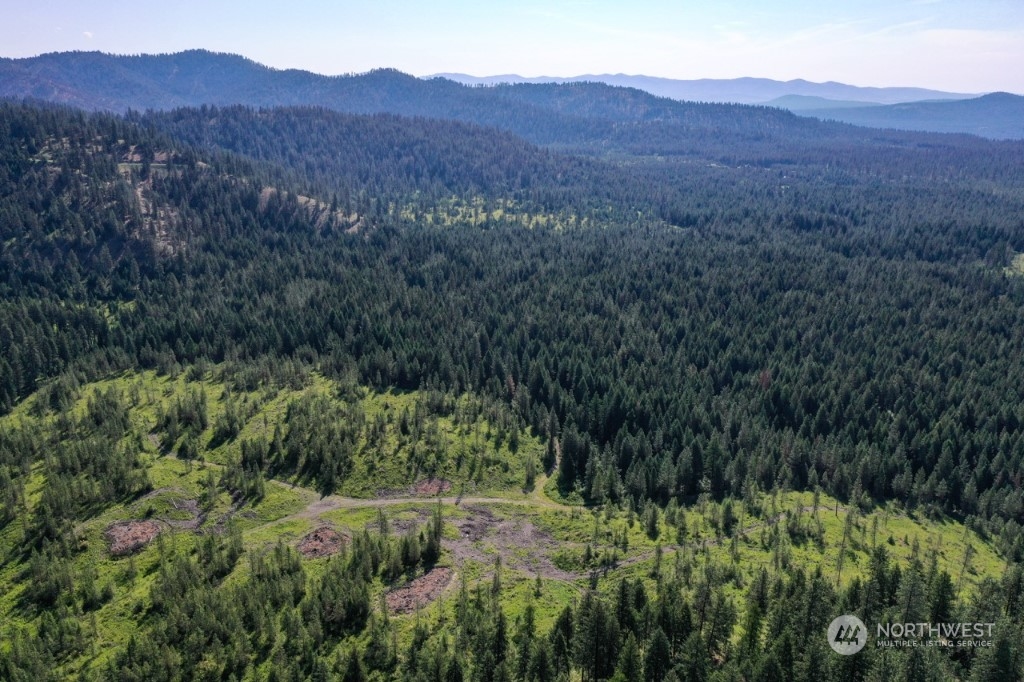 0 Silver Creek Road Inchelium, WA 99138 - Photo 3 of 5 Gallery Image 3