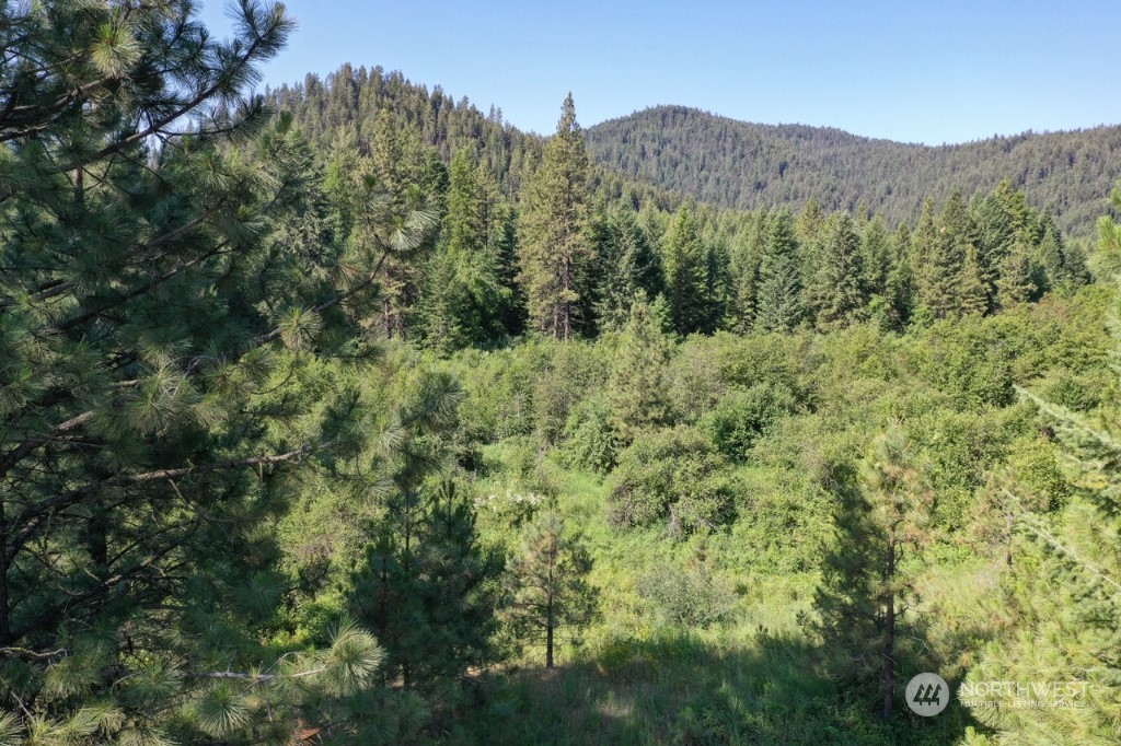 0 Silver Creek Road Inchelium, WA 99138 - Photo 4 of 5 Gallery Image 4