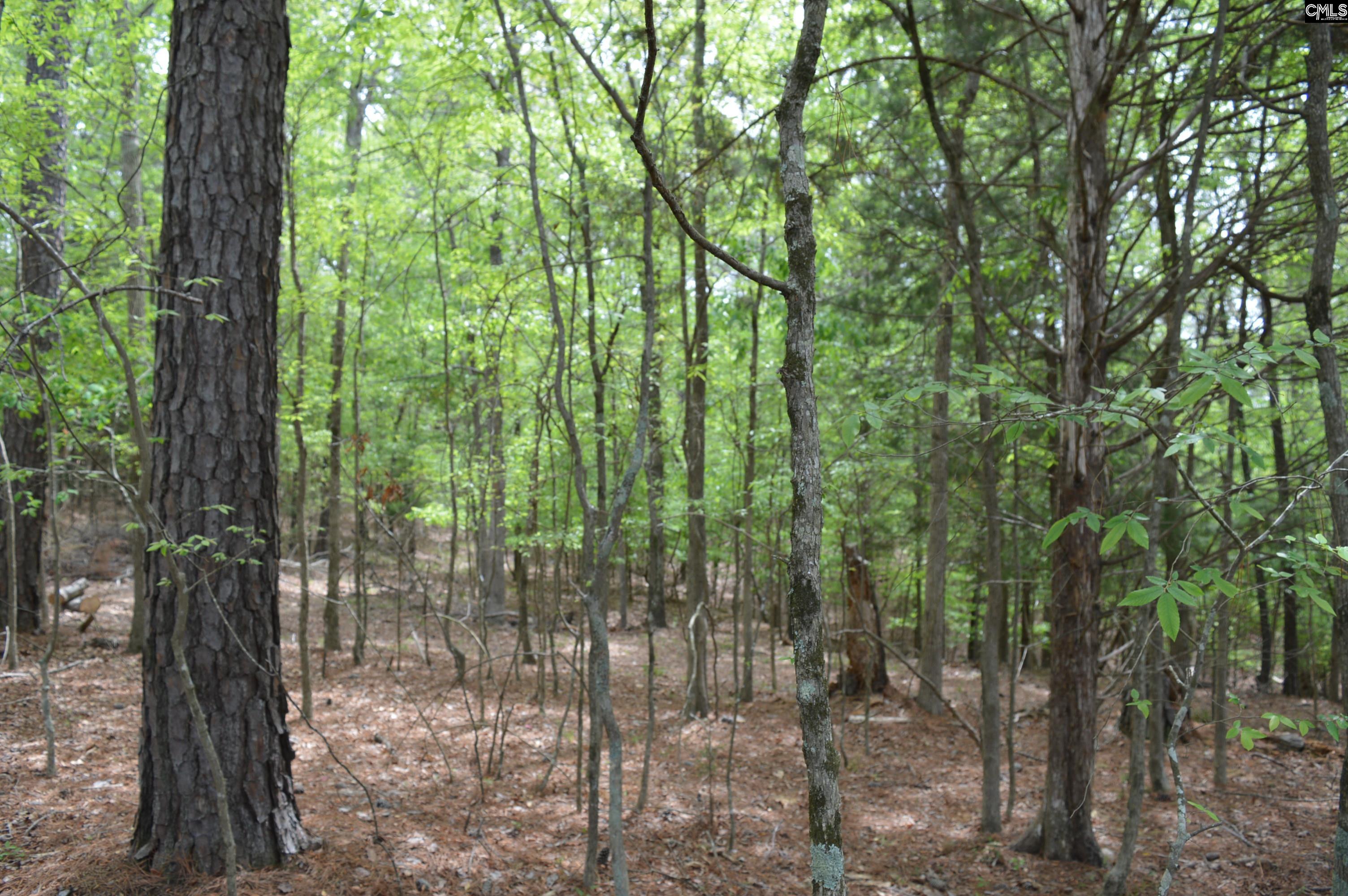 978 Rolling Hills Road Ridgeway, SC 29130 - Photo 4 of 9