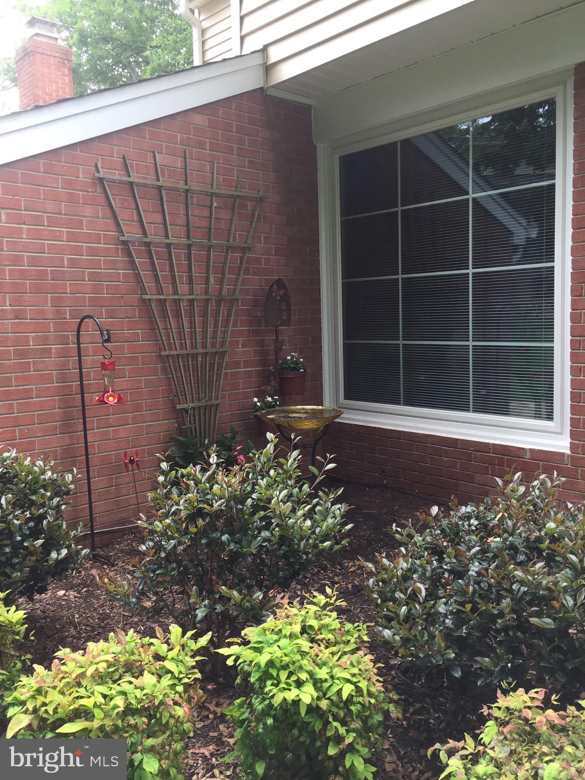 8104 Langbrook Road Springfield, VA 22152 - Photo 5 of 35 Backyard