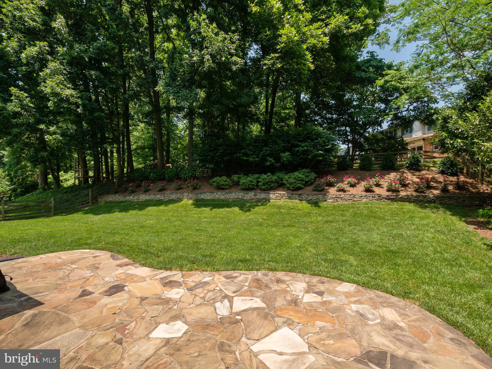 8104 Langbrook Road Springfield, VA 22152 - Photo 7 of 35 Backyard