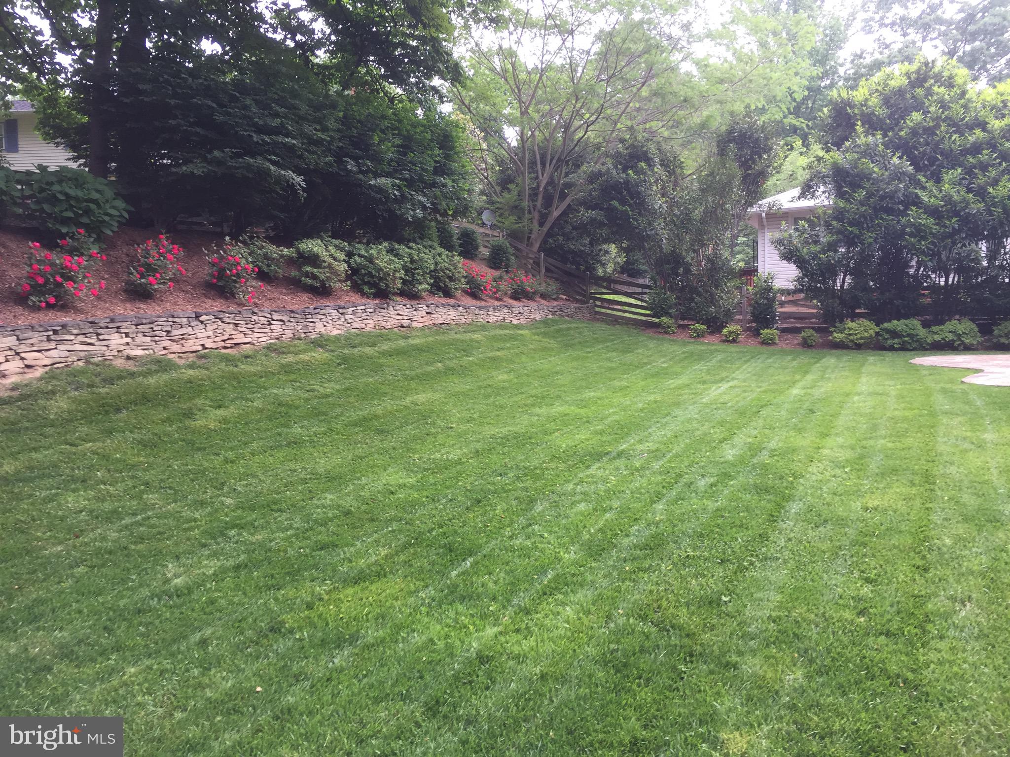 8104 Langbrook Road Springfield, VA 22152 - Photo 8 of 35 Beautifully landscaped yard