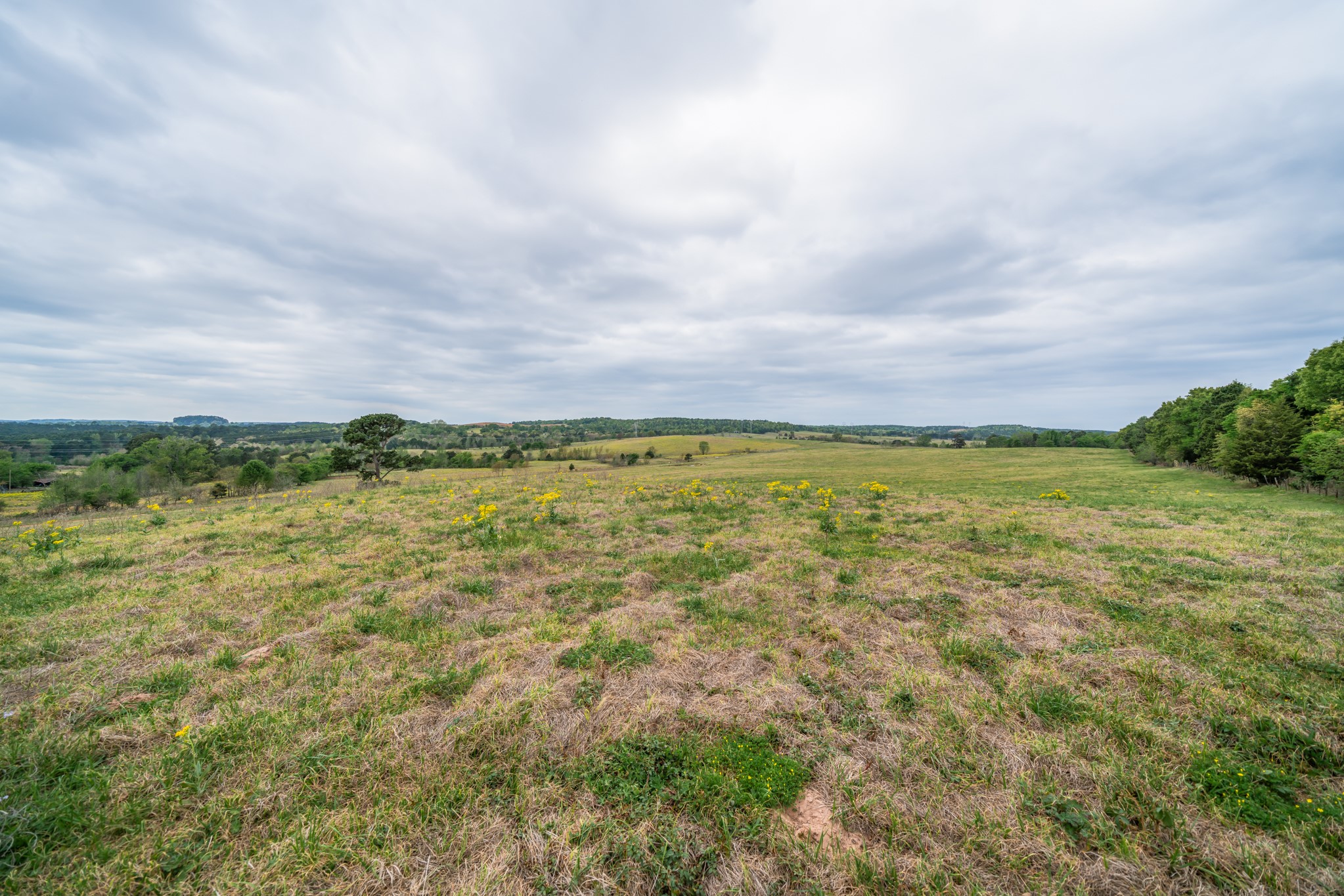 155 Ore City Tx 75683 Tyler, TX 75708 - Photo 25 of 50