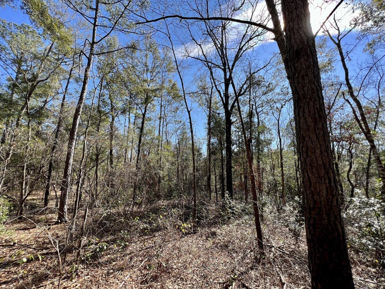 0 Dixon Road Bay Minette, AL 36507 - Photo 45 of 50