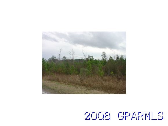 2 Burnette Road Farmville, NC 27828 - Photo 1 of 1 Primary Photo