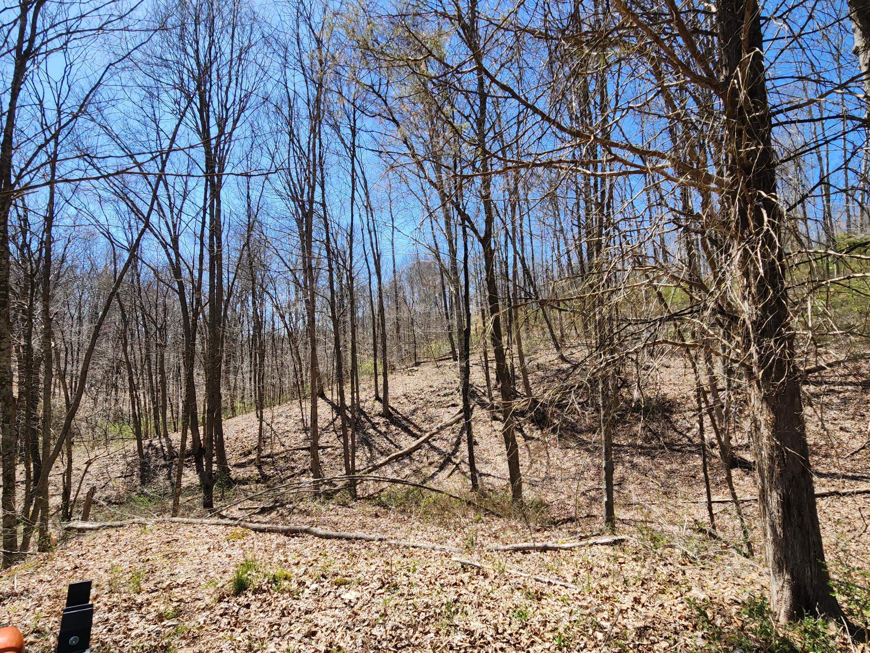 0 Halleys Ridge Road Caldwell, OH 43724 - Photo 30 of 69 20230411_133048