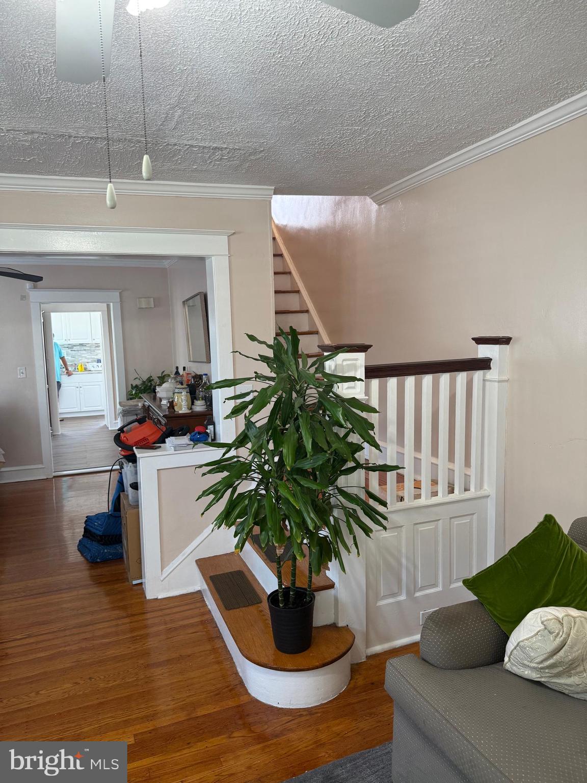 528 Magee Avenue Philadelphia, PA 19111 - Photo 6 of 29 a living room with furniture and a potted plant