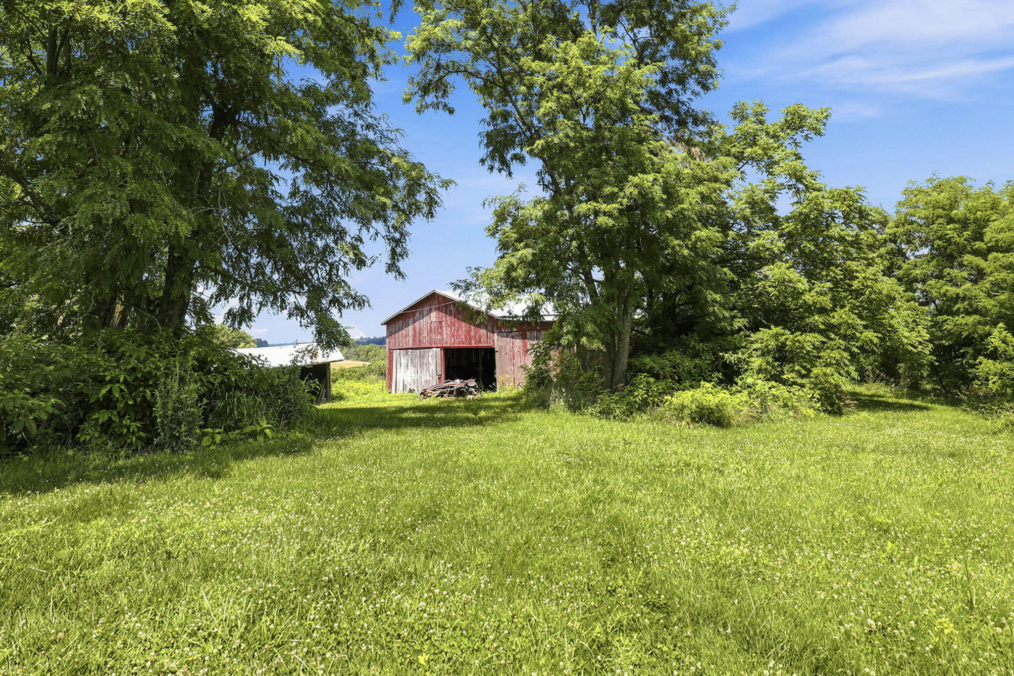 525 Chipman Ridge Road Williamstown, KY 41097 - Photo 43 of 49 47-web-or-mls-41-print-_B6A0666