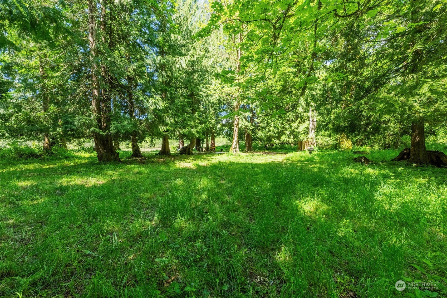 1 Redstone Court Randle, WA 98377 - Photo 14 of 38 Gallery Image 14