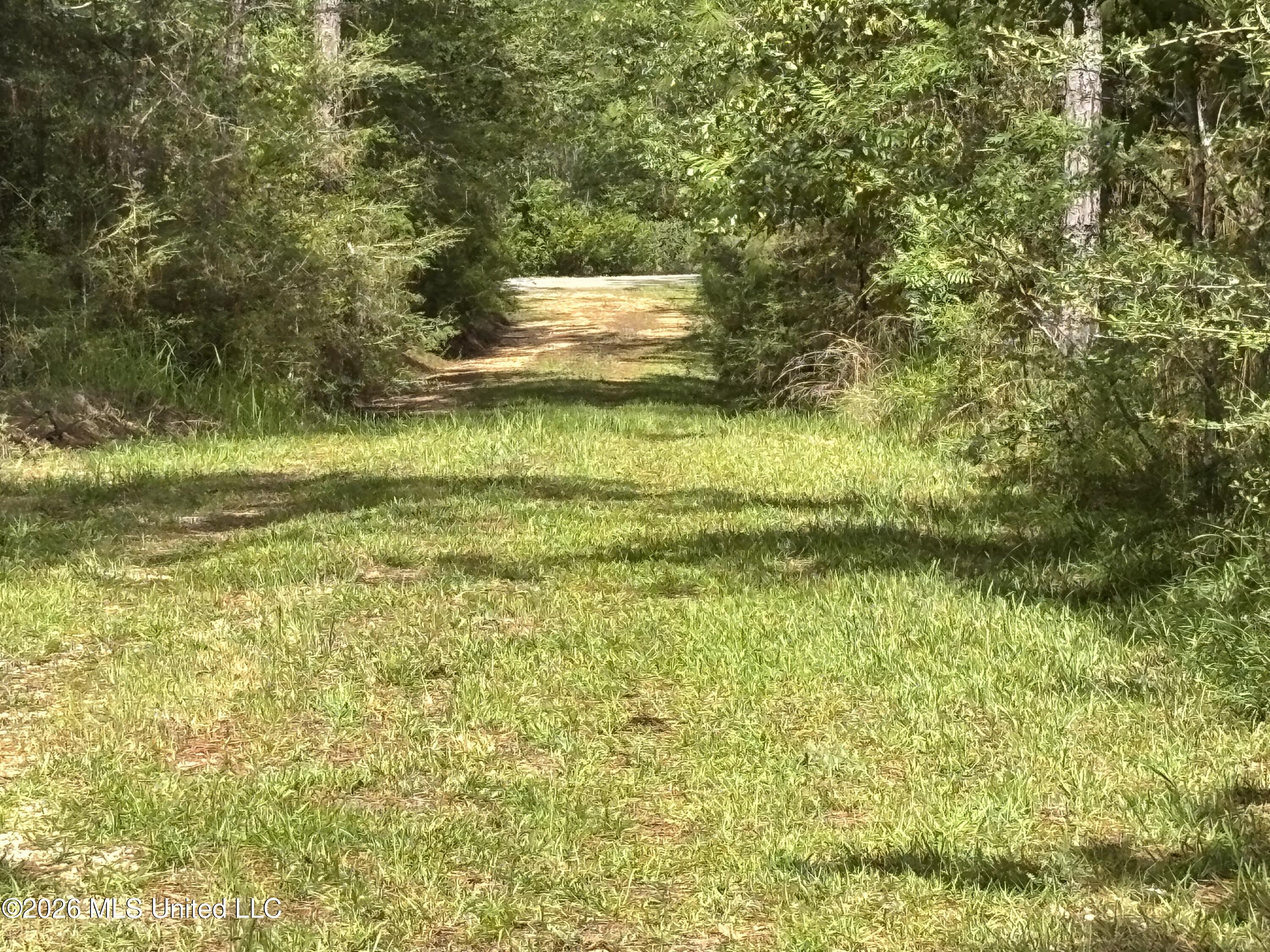 202 Smith Road Lumberton, MS 39455 - Photo 27 of 32 IMG_2975