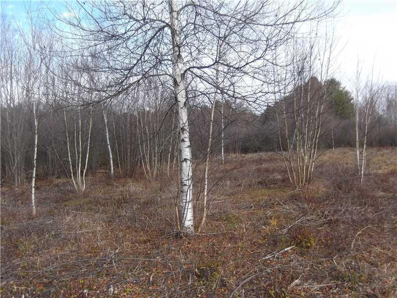 552 Sligo Road, Unit B North Yarmouth, ME 04097 - Photo 6 of 7 Land.
