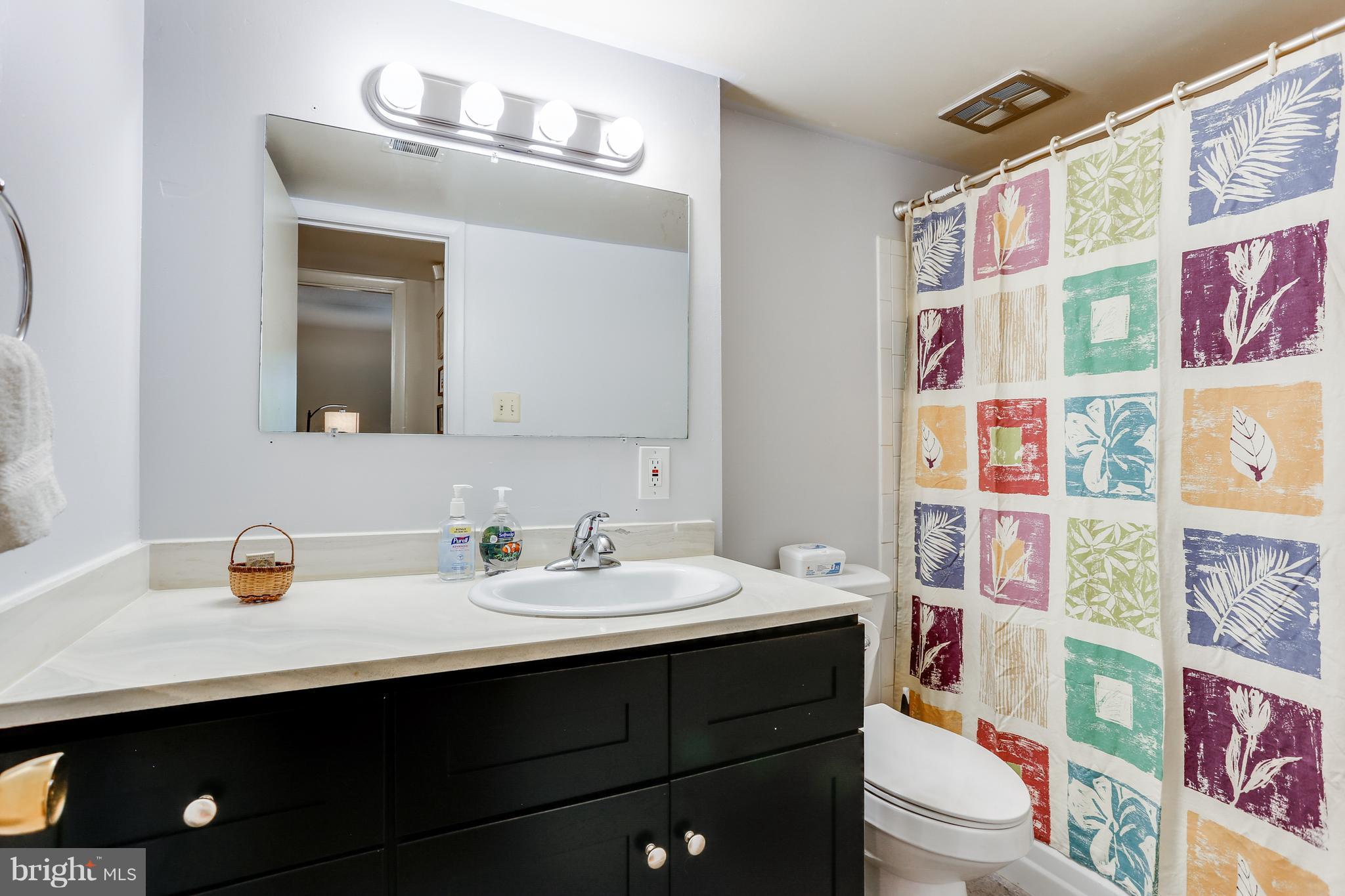 5237 West Running Brook Road, Unit 102 Columbia, MD 21044 - Photo 28 of 30 Bath