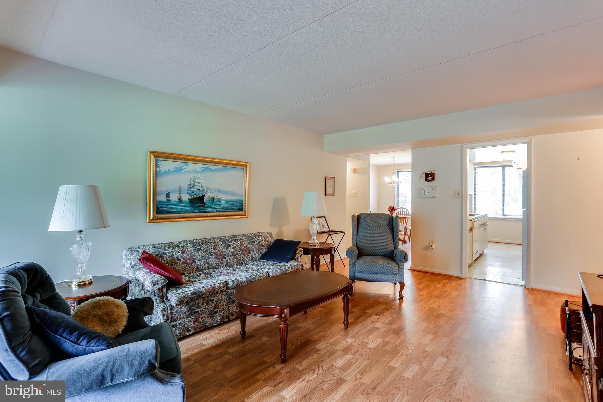 5237 West Running Brook Road, Unit 102 Columbia, MD 21044 - Photo 5 of 30 Living Room