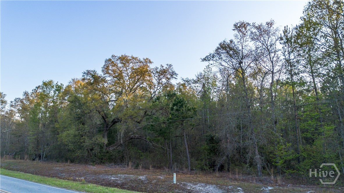 4 Little McCall Road Guyton, GA 31312 - Photo 8 of 12