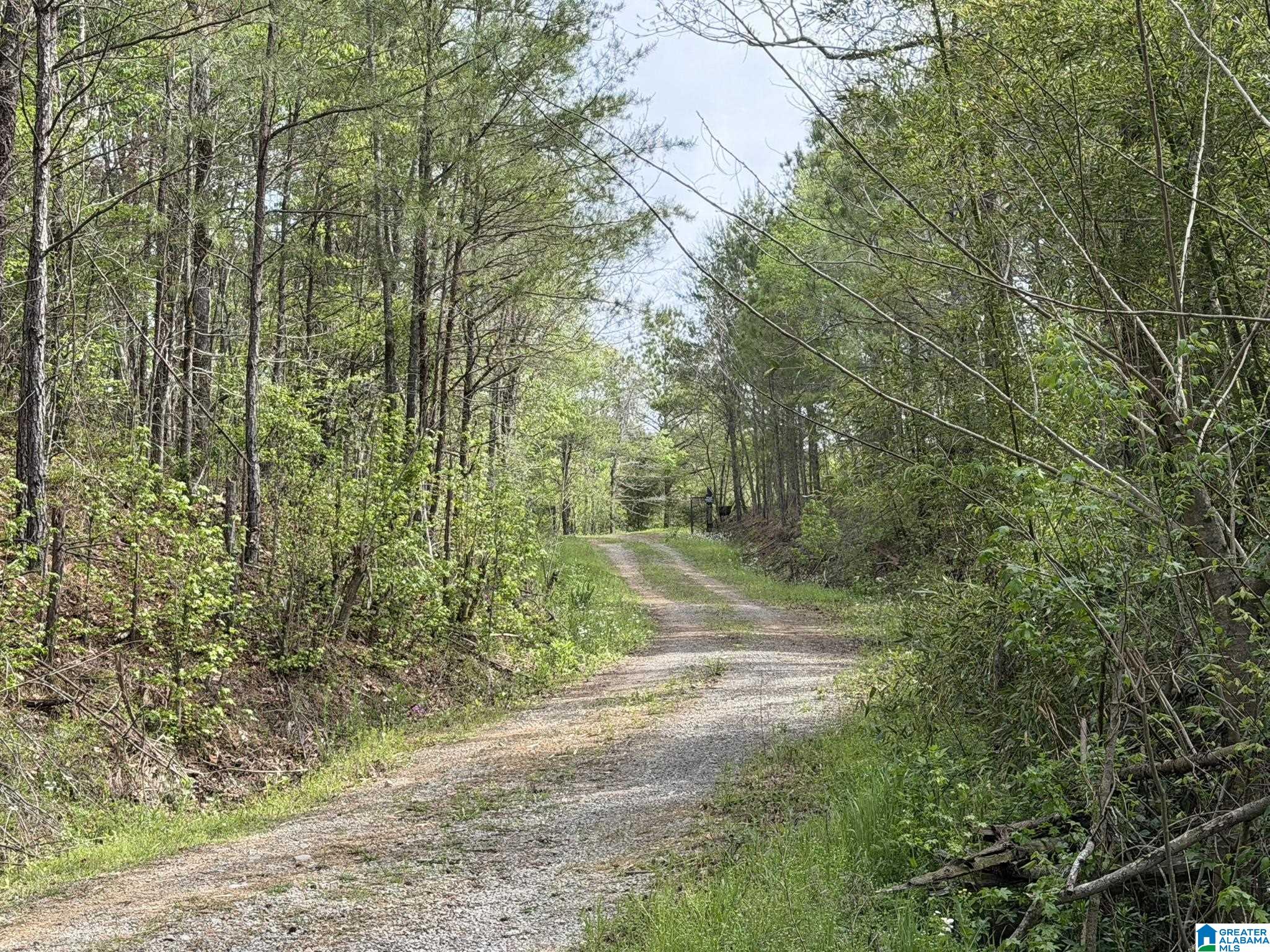 2121 Center Hill Road Trafford, AL 35172 - Photo 83 of 100