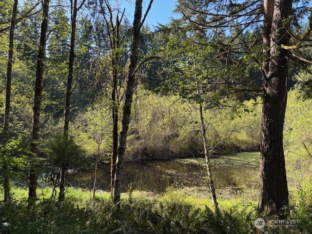 1182 Southeast Deep Lake Road Port Orchard, WA 98367 - Photo 29 of 38 Gallery Image 29
