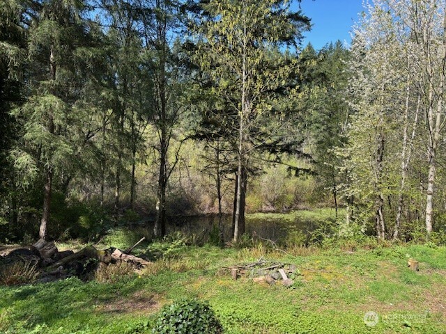 1182 Southeast Deep Lake Road Port Orchard, WA 98367 - Photo 33 of 38 Gallery Image 33
