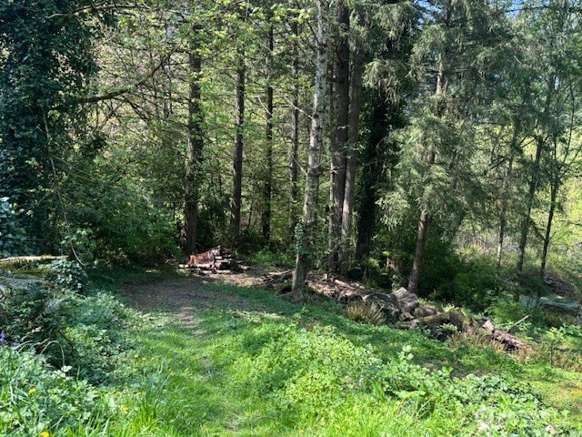 1182 Southeast Deep Lake Road Port Orchard, WA 98367 - Photo 35 of 38 Gallery Image 35