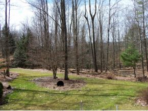 88 Sheedy Road Vestal, NY 13850 - Photo 22 of 23 Gallery Image 22