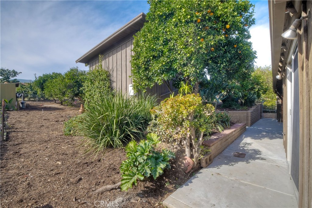 762 Hamilton Lane Fallbrook, CA 92028 - Photo 31 of 39 a backyard of a house with lots of green space