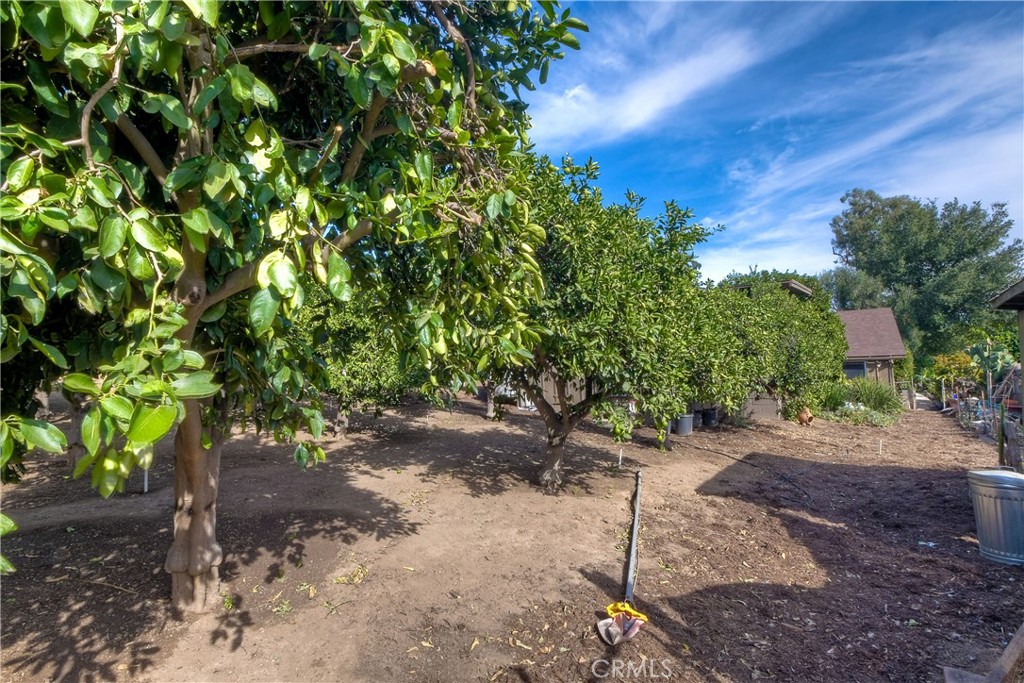 762 Hamilton Lane Fallbrook, CA 92028 - Photo 32 of 39