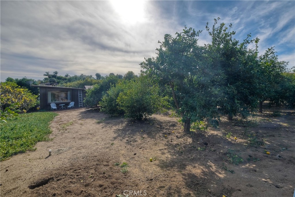 762 Hamilton Lane Fallbrook, CA 92028 - Photo 33 of 39 a view of a house with backyard and trees