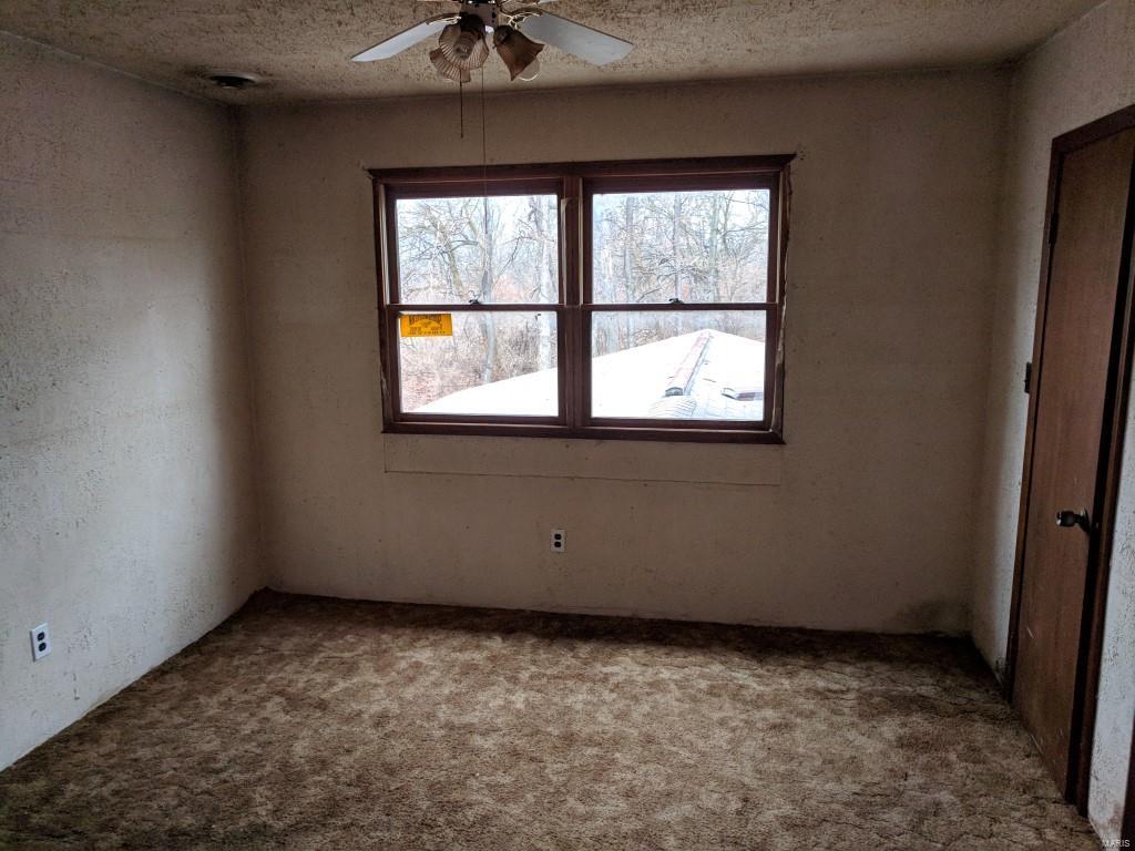 32893 Teney Hollow Road Brighton, IL 62012 - Photo 8 of 9