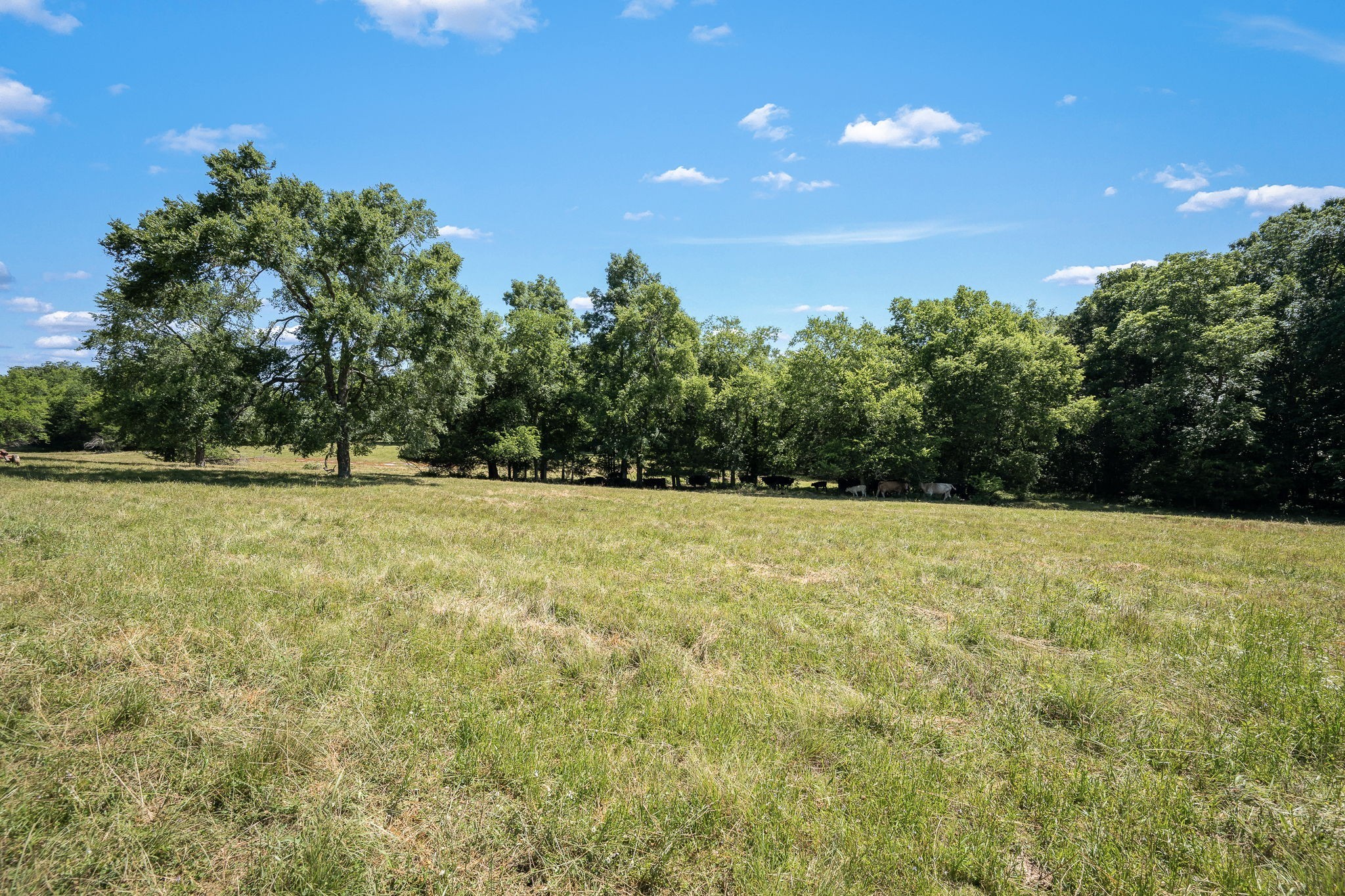 505 Philippi Road Wartrace, TN 37183 - Photo 18 of 79 Gallery Image 18