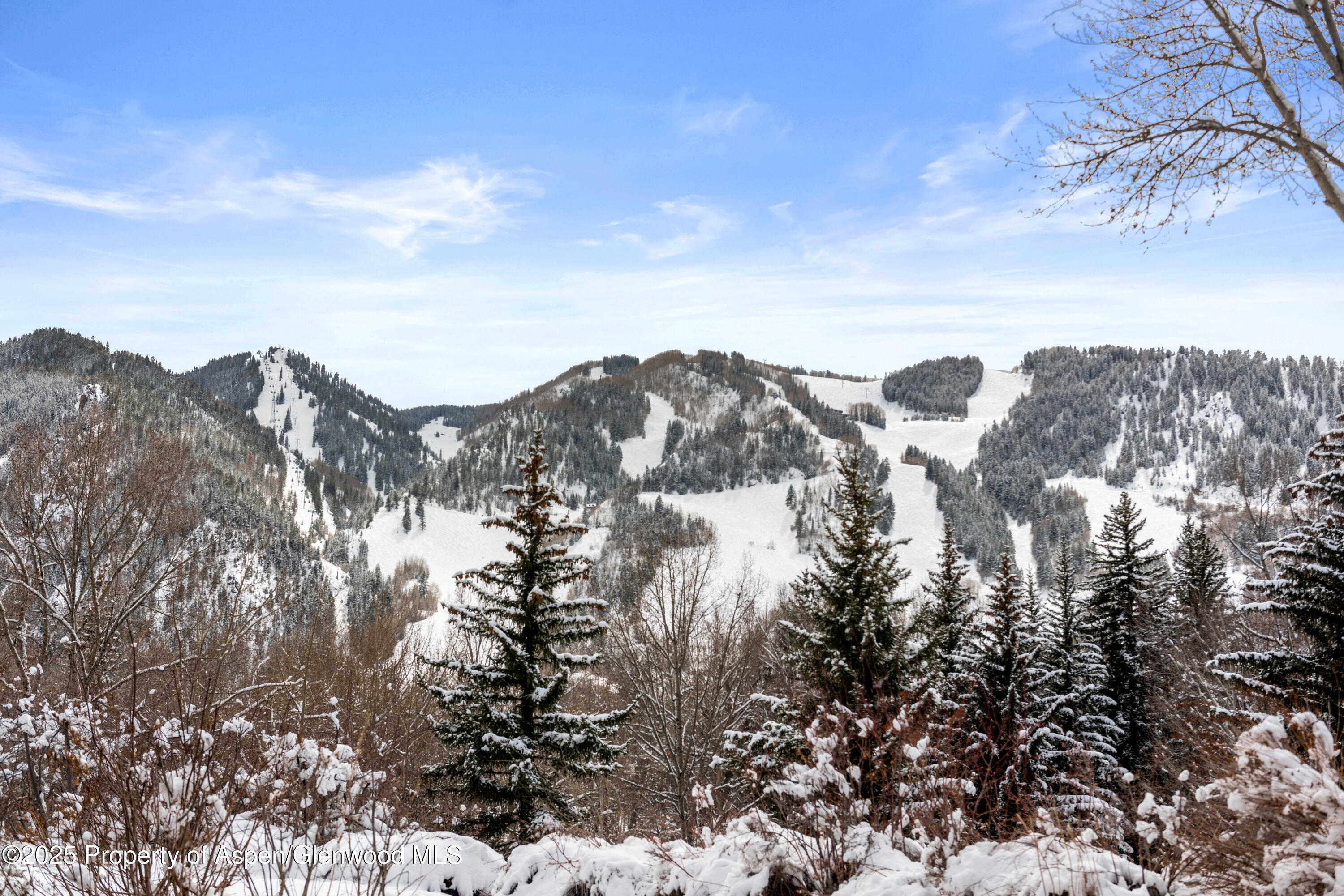 155 Lone Pine Road, Unit 5 Aspen, CO 81611 - Photo 22 of 26 a view of mountain view with lots of bushes