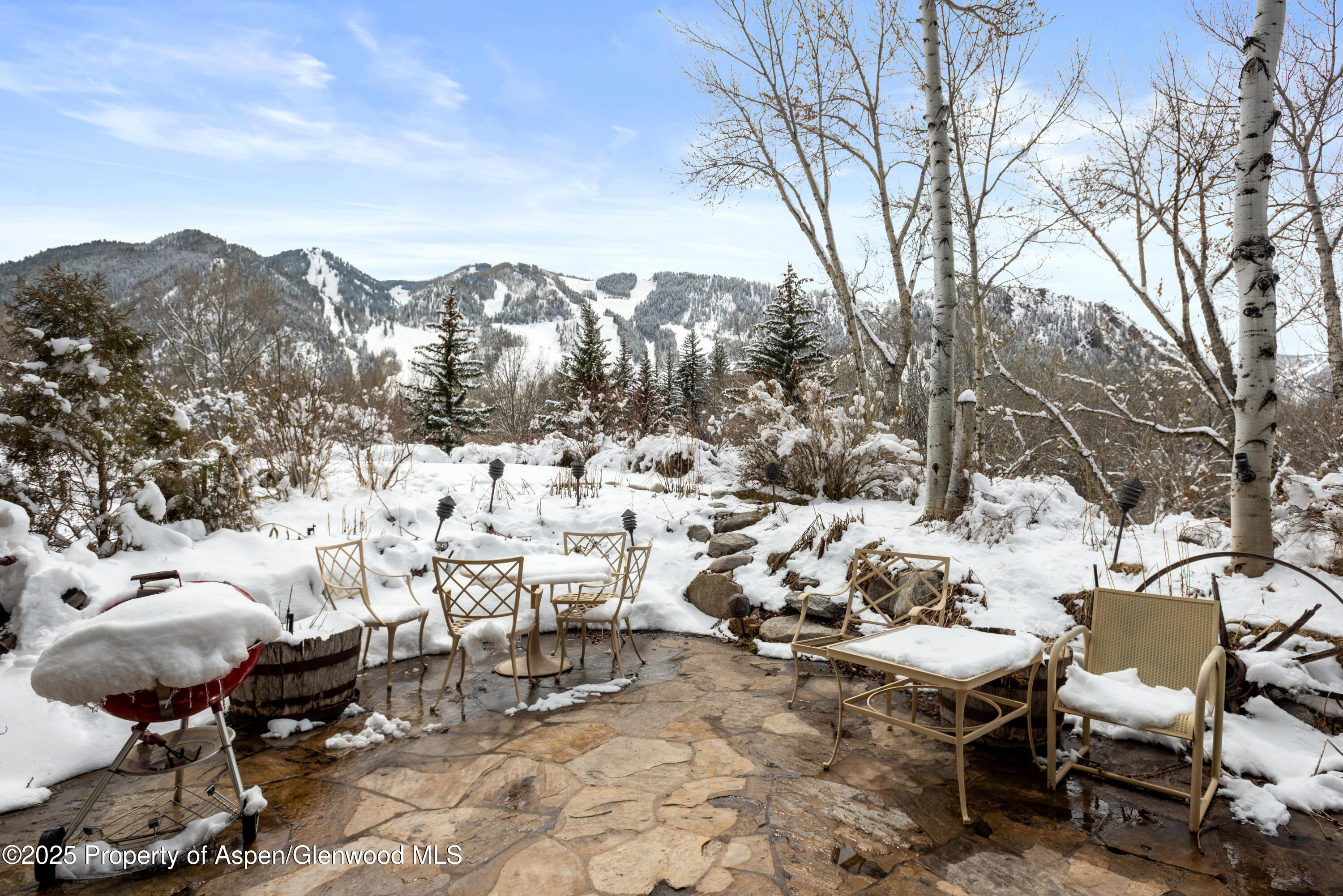 155 Lone Pine Road, Unit 5 Aspen, CO 81611 - Photo 24 of 26 a view of a terrace with chairs and a fire pit