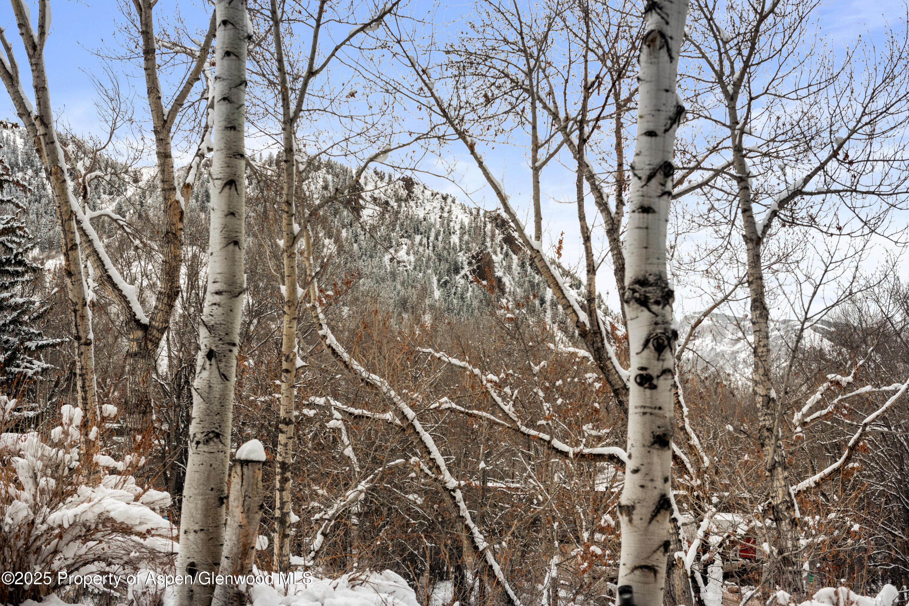 155 Lone Pine Road, Unit 5 Aspen, CO 81611 - Photo 25 of 26 a backyard of a house with lots of green space