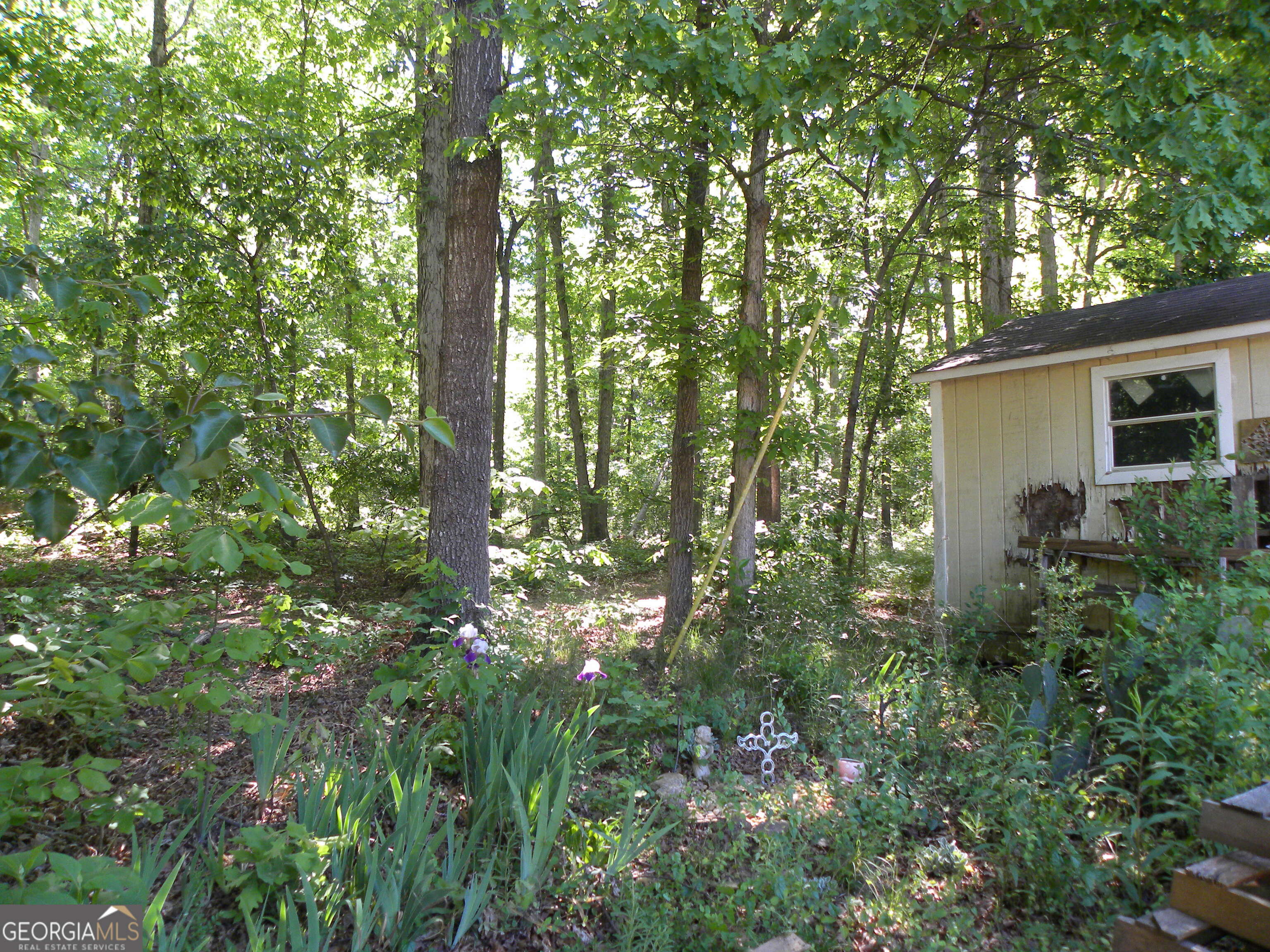 2627 Cole Road Carnesville, GA 30521 - Photo 36 of 51
