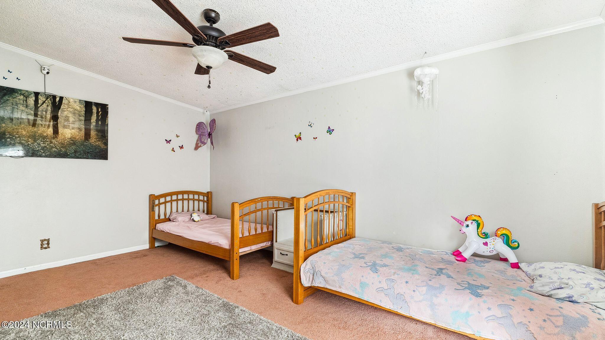 704 Micro Tower Road Lillington, NC 27546 - Photo 22 of 28 22_DSC04125 copy