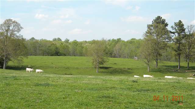 240 Bowers Road Bowersville, GA 30516 - Photo 6 of 15 Gallery Image 6