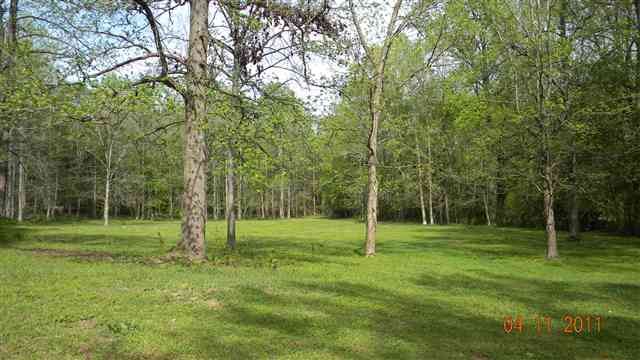 240 Bowers Road Bowersville, GA 30516 - Photo 10 of 15 Gallery Image 10