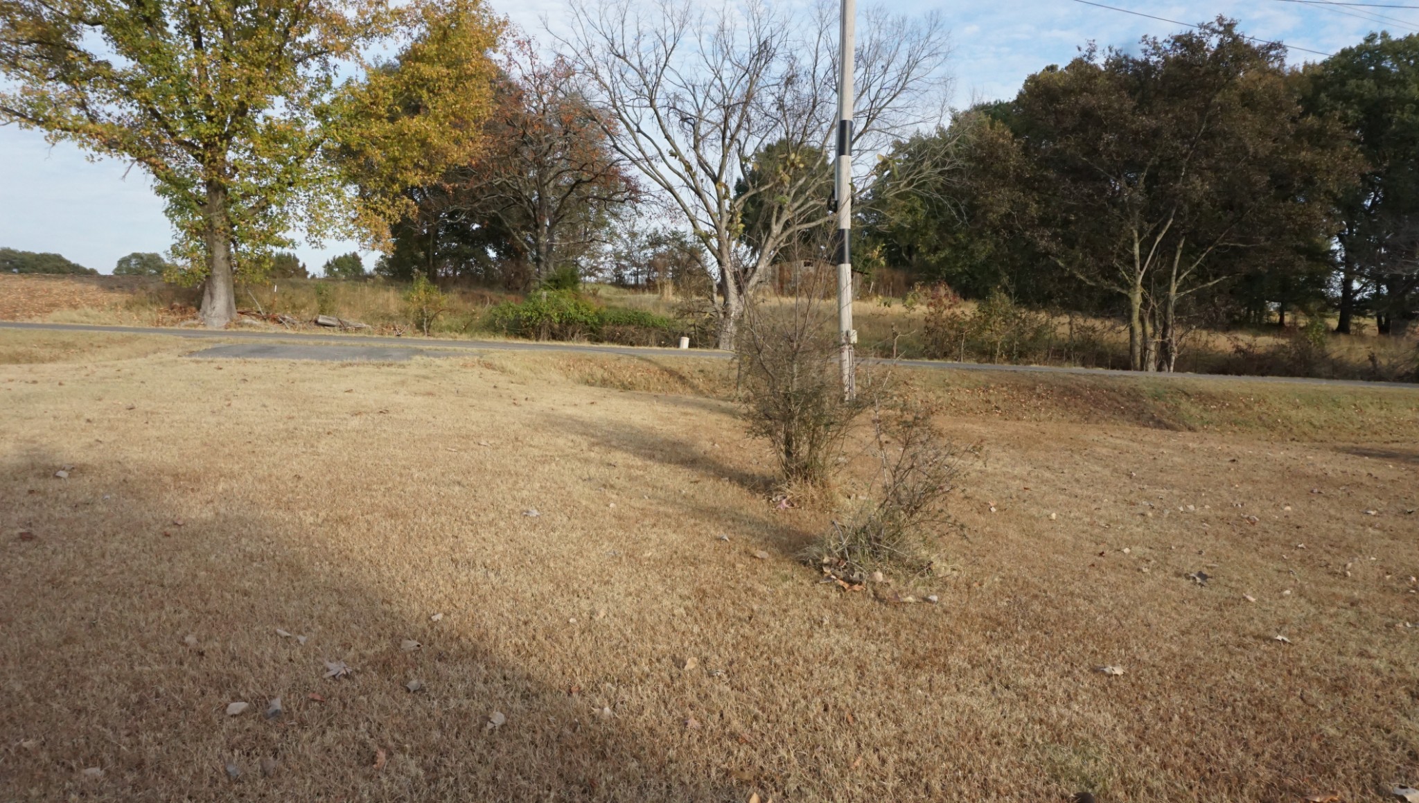 5323 Lanes Ferry Road Newbern, TN 38059 - Photo 27 of 31 a view of open space with trees