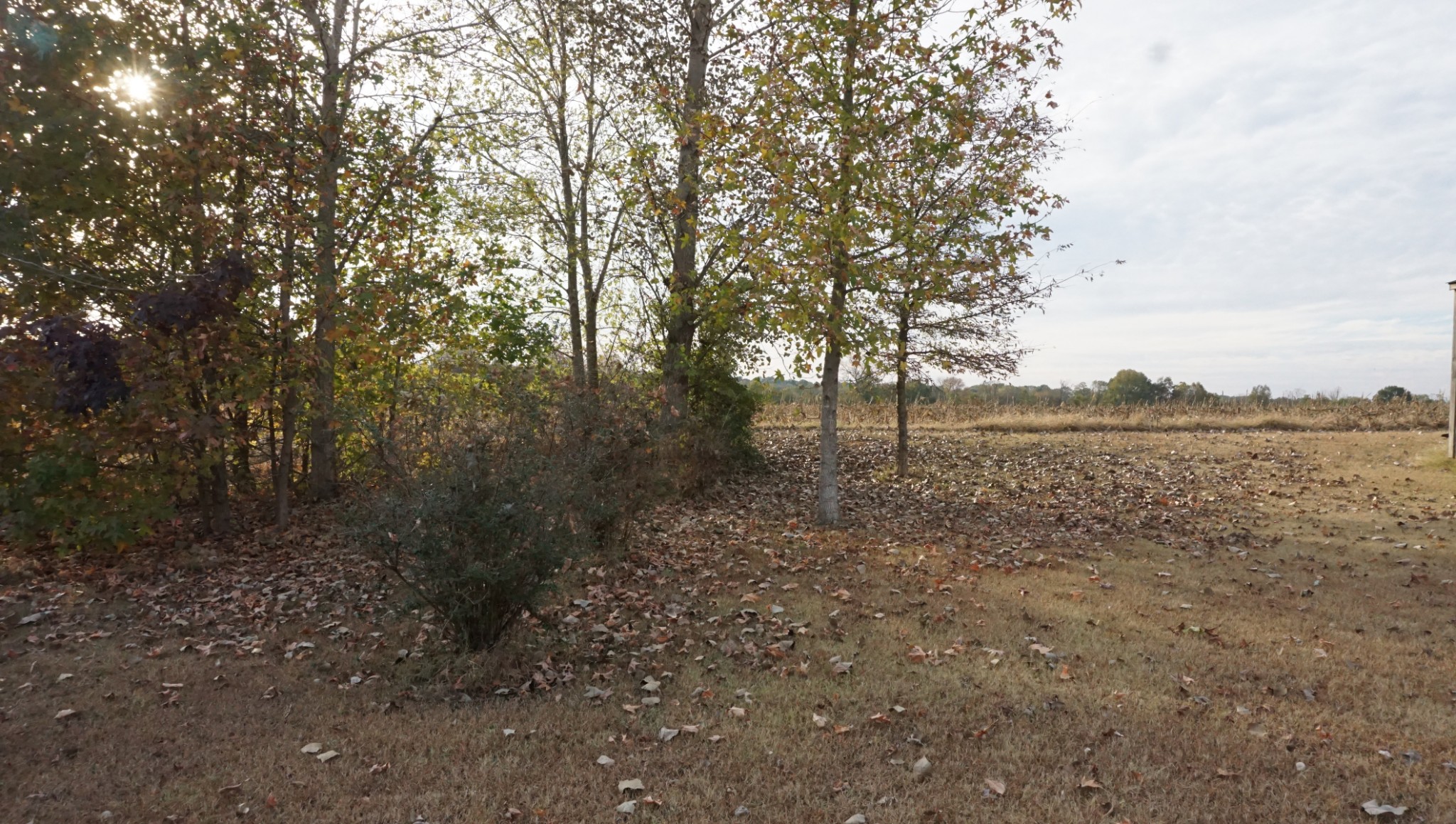 5323 Lanes Ferry Road Newbern, TN 38059 - Photo 28 of 31