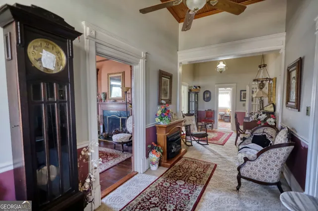 a view of road with large trees