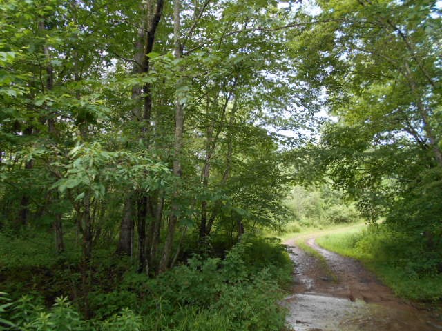 * Traister Road Rimersburg, PA 16248 - Photo 20 of 34
