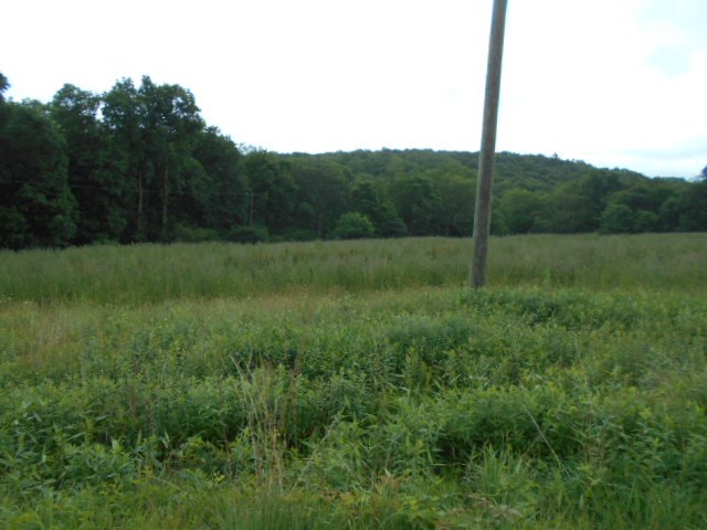 * Traister Road Rimersburg, PA 16248 - Photo 21 of 34