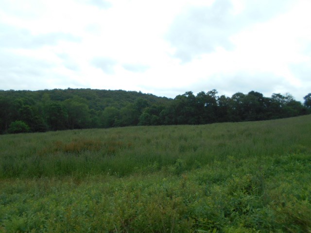 * Traister Road Rimersburg, PA 16248 - Photo 22 of 34